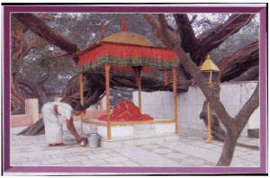 Panth-Pakar
