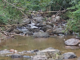 Kollam India Waterfall