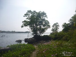 Kollam India Port