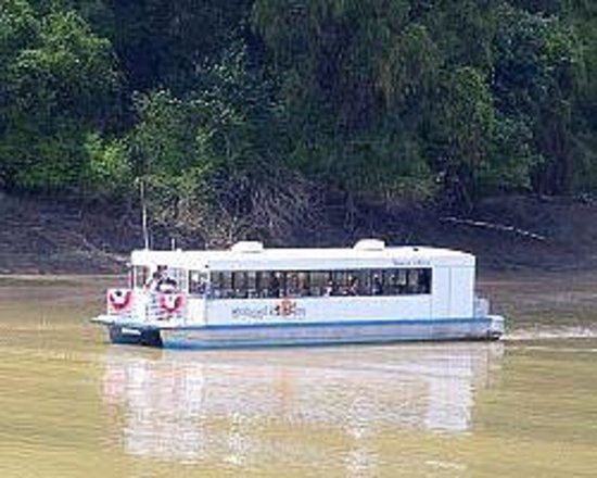 MS Tours and Travels