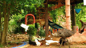Kauthuka Park
