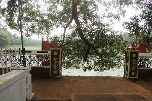Sargaalaya
