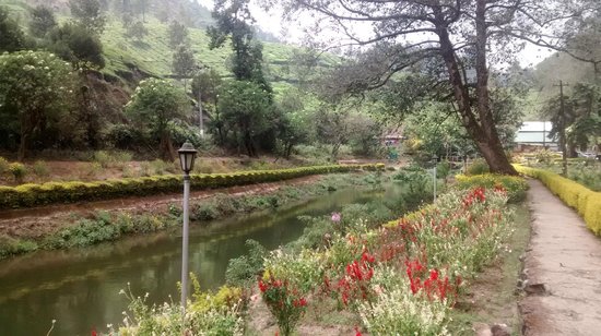 Blossom Hydel Park