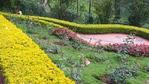 Rose Garden
