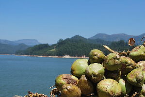 Thekkady India Dam