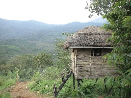 Kerala India Temple