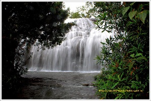 Thodupuzha India Waterfall