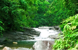 Kallar India Waterfall