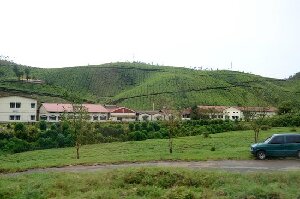 India Natural