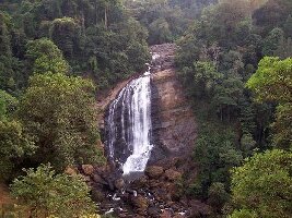 Munnar India Waterfall