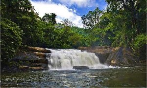 Thommankuthu Falls