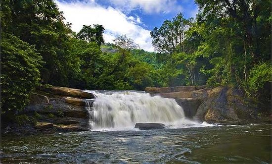 Thommankuthu Falls
