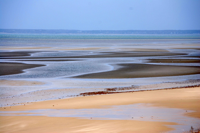 Thumpertown Beach