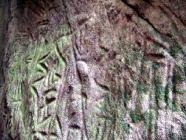 Edakkal Caves