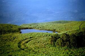 Chembra Peak