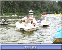 Deer Park, Ooty