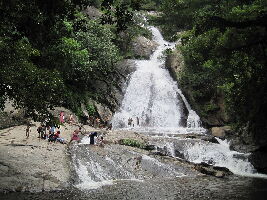 Monkey Falls