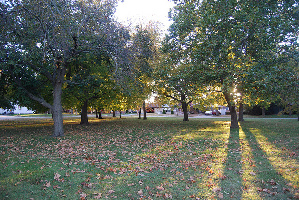 Oak Park