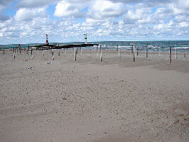 Pentwater Beach