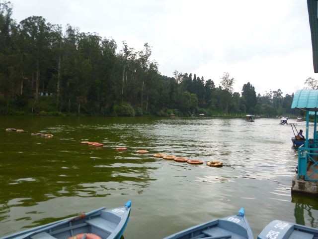 Ooty Lake