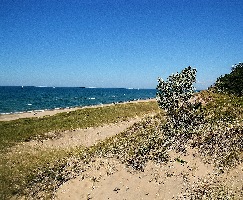 Saugatuck
