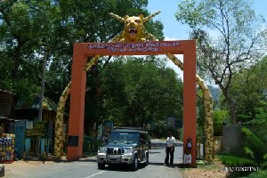 Tirunelveli India Sanctuary