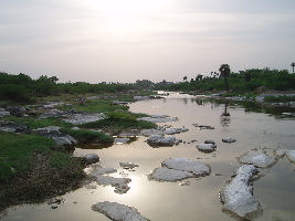 Tirupur India Dam