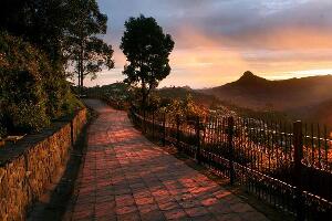 Kodaikanal India Walk