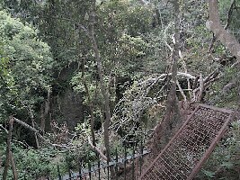 Kodaikanal India Cave