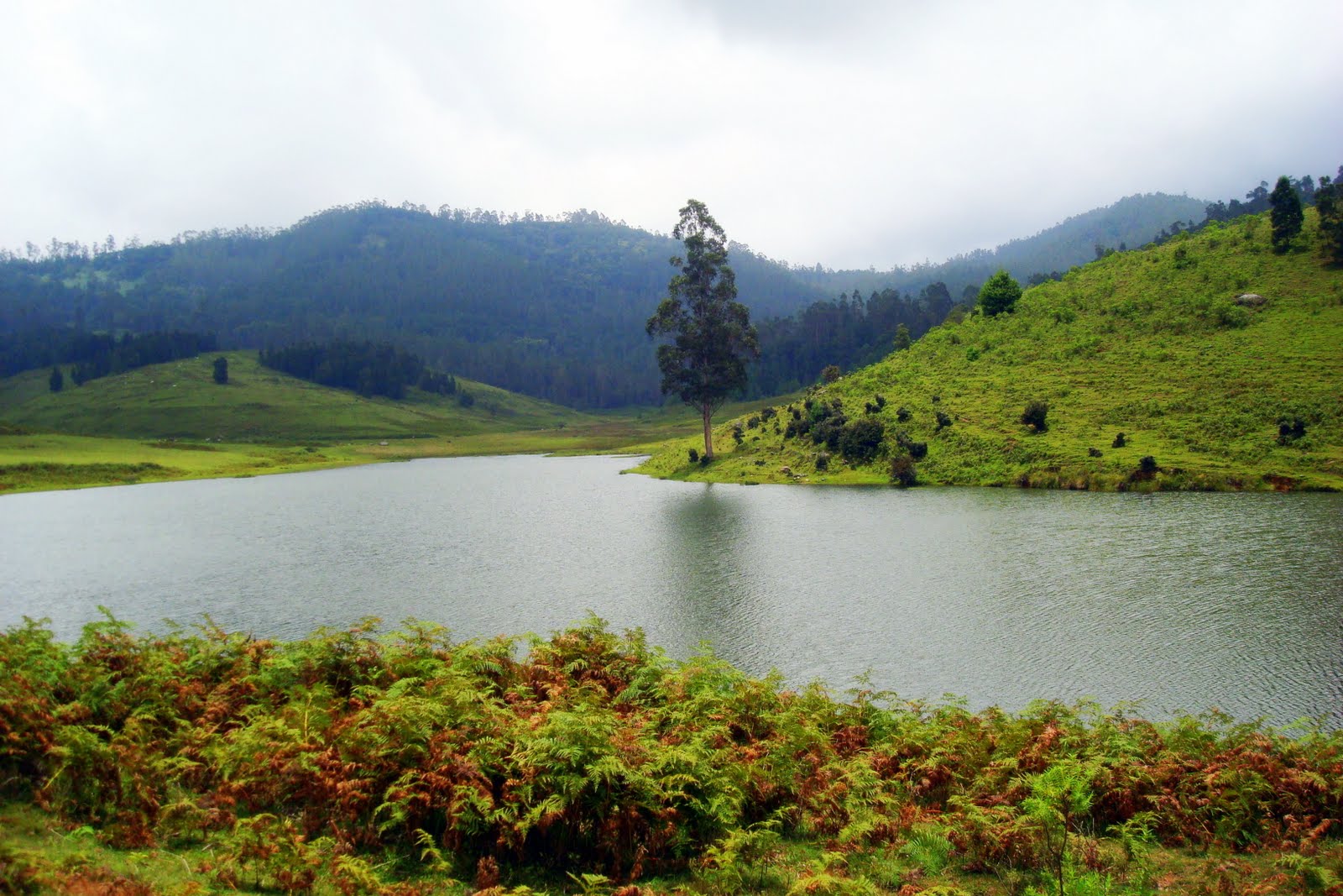 Mannavanur Lake