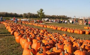 Rombachs Farm