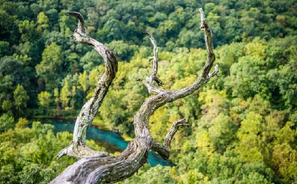 Ha Ha Tonka State Park
