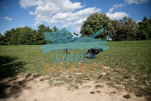Creve Coeur Park