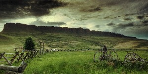 Hamlett Ranch Co