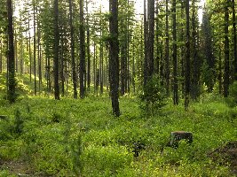 Eton Temple Convent School