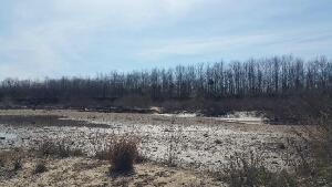 Gravel Bar