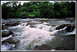 Panvel India Dam