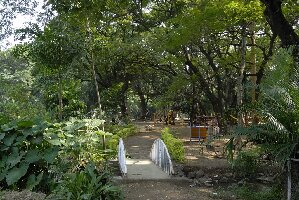 Empress Gardens