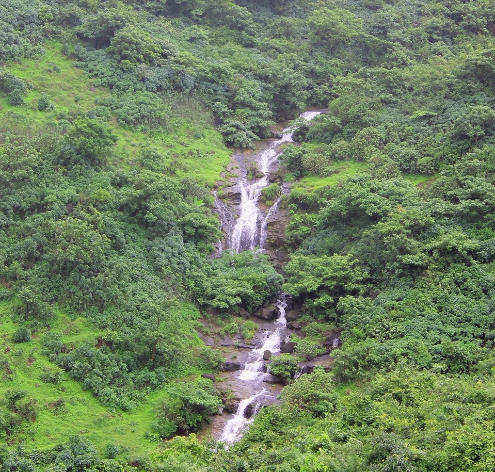 Lohagad Fort