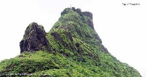 Tung Fort