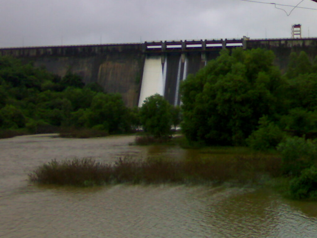 Varasgaon Dam