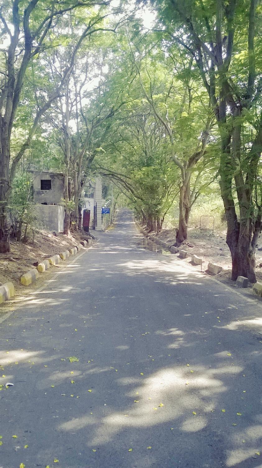 Belapur Fort
