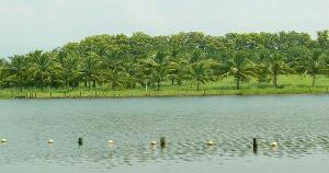 Buldana India Dam