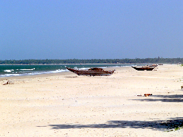 Tarkarli India Beach