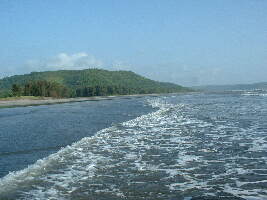 Savane Beach