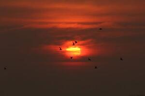 Ganpatipule India Beach
