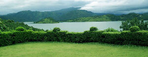 Nongpoh India Park