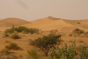 Nongstoin India Desert