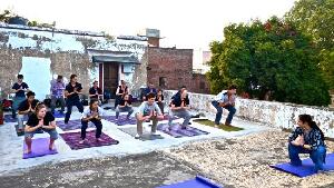 Banaras Yoga Dark Lotus