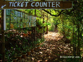 Butterfly Conservatory Of Goa